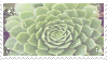 Green Plant Stamp