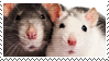 RATS Stamp