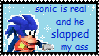 Sonic real Stamp