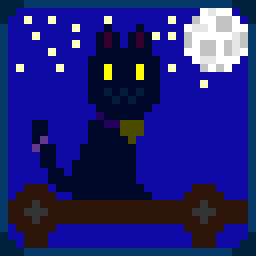 Black Cat Under the Night Sky